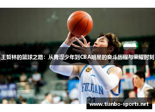 王哲林的篮球之路：从青涩少年到CBA明星的奋斗历程与荣耀时刻